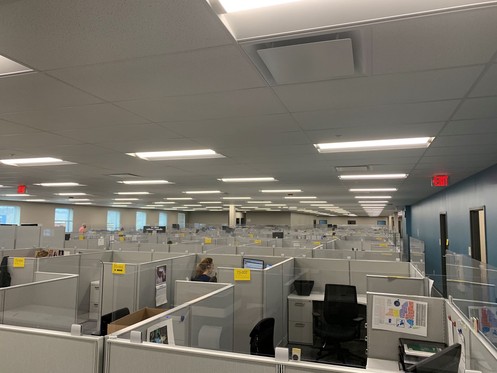 DOL Albany Cubes MED