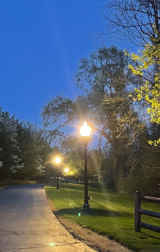 Led Duke pole light